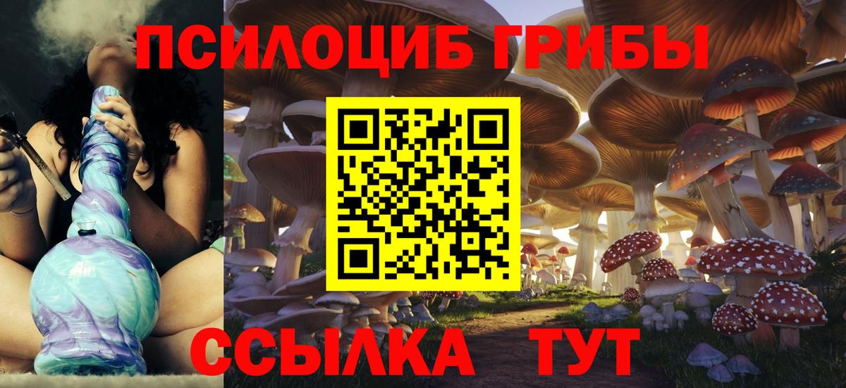 Шатура  Псилоцибиновые грибы ЛСД  Вход с VPN  Галлюциногенные грибы GOLDEN TEACHER 